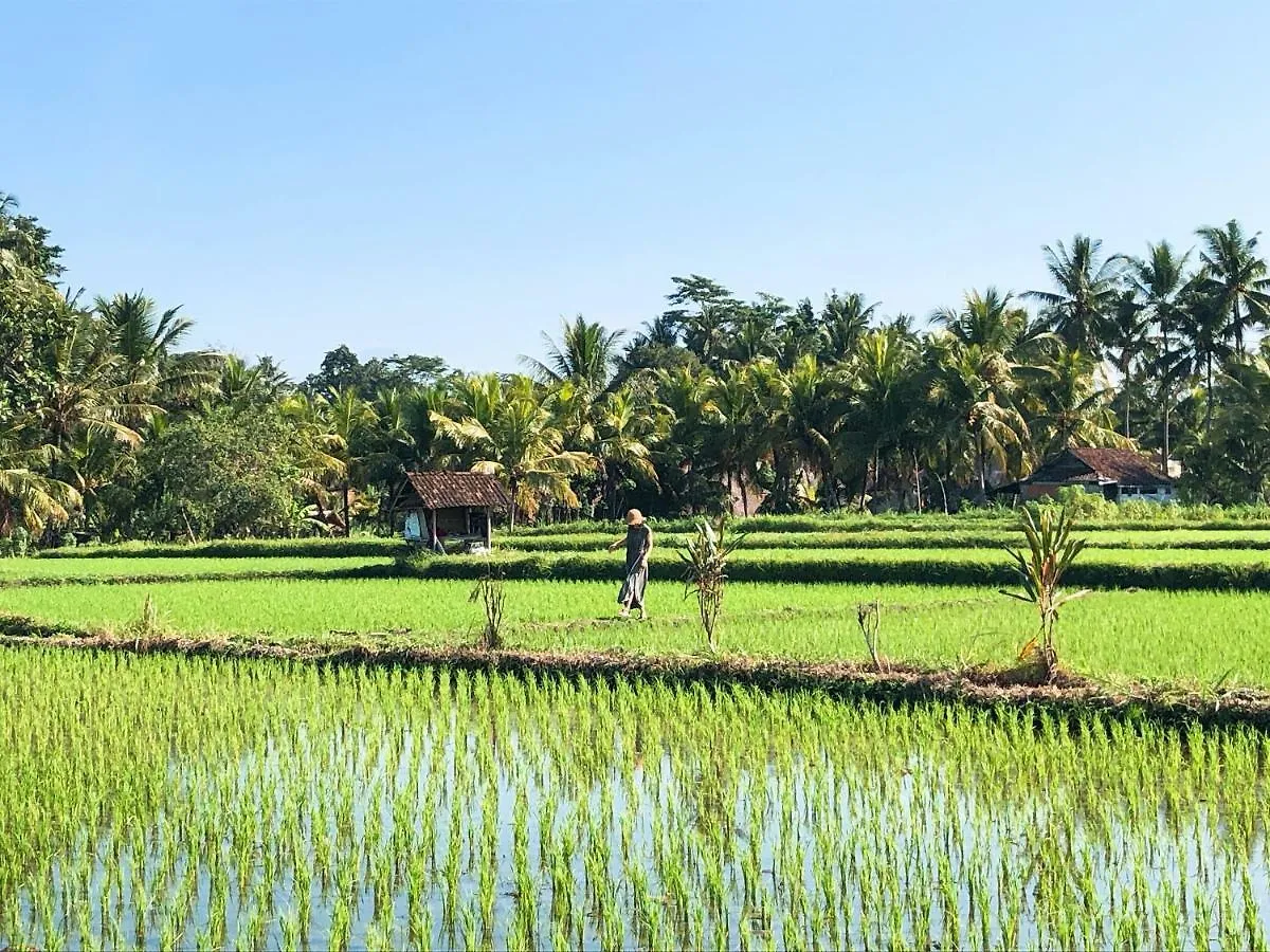 Mana Earthly Paradise Hotel Ubud  2*, Ubud (Bali)